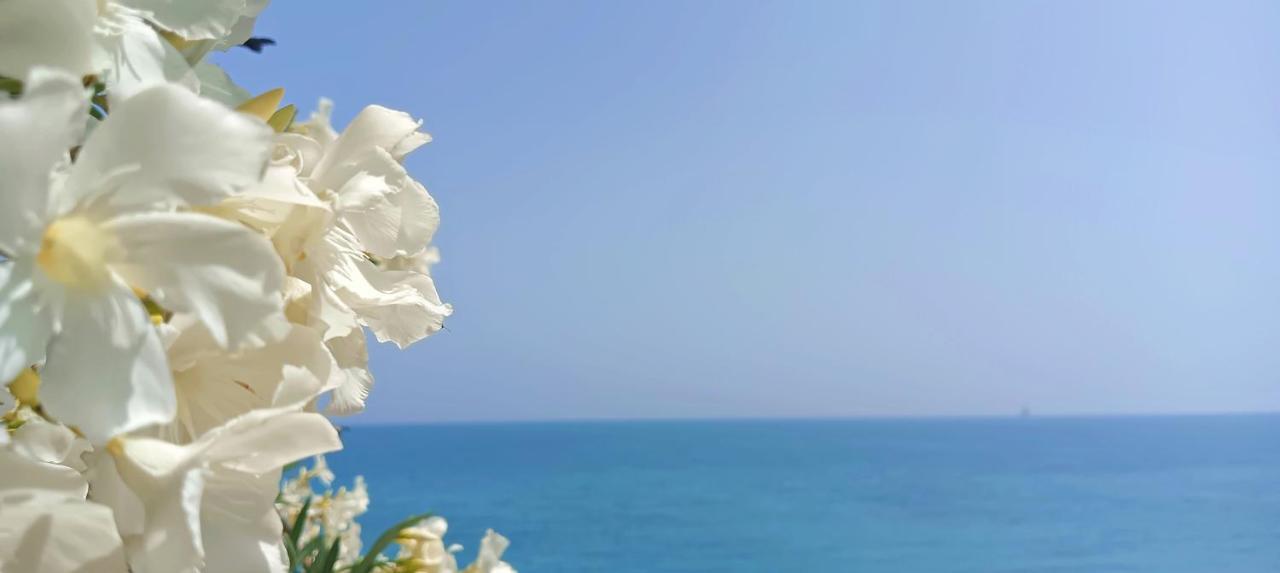 Apartamento Torre Alacant Alicante Extérieur photo